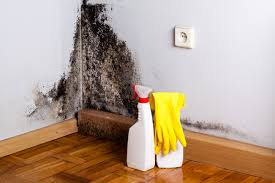 Best Forensic Mold Investigation  in Midland, NC